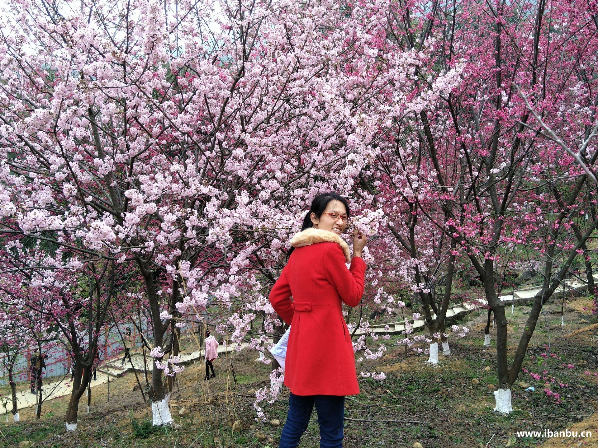 坂埔古厝良山樱花园游玩