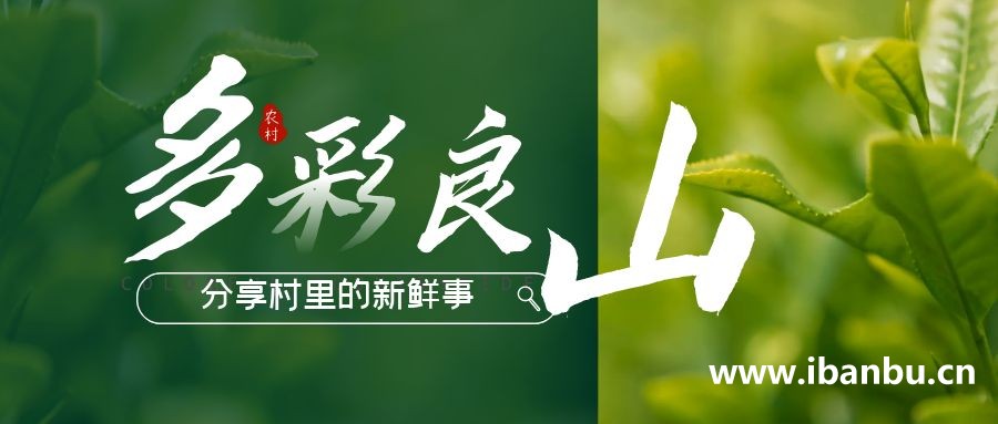 “多彩良山”栏目上线，分享良山村里最新鲜的事情