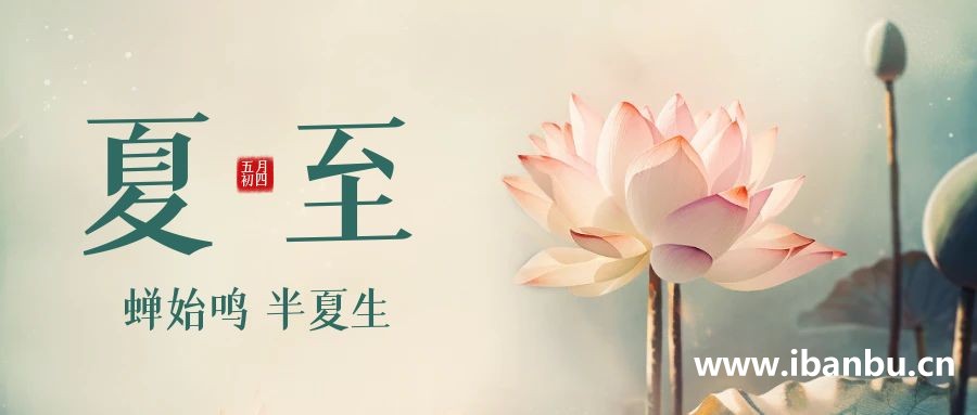 夏至养生篇-阳极热盛，苦凉消暑