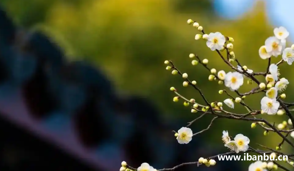 立春节气-阳气生发、春捂秋冻